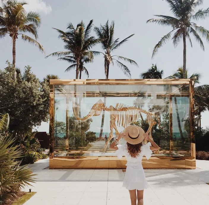 The Ultimate Getaway Guide to Miami, Florida